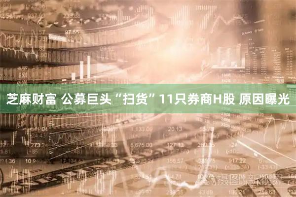 芝麻财富 公募巨头“扫货”11只券商H股 原因曝光