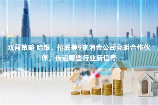双盈策略 哈银、招联等9家消金公司亮明合作伙伴，传递哪些行业新信号
