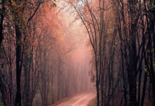 股市怎么配杠杆:成都股票配资公司-A股九月开门红：创业板指涨超2% 贵金属板块爆发